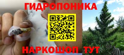 spice Янаул