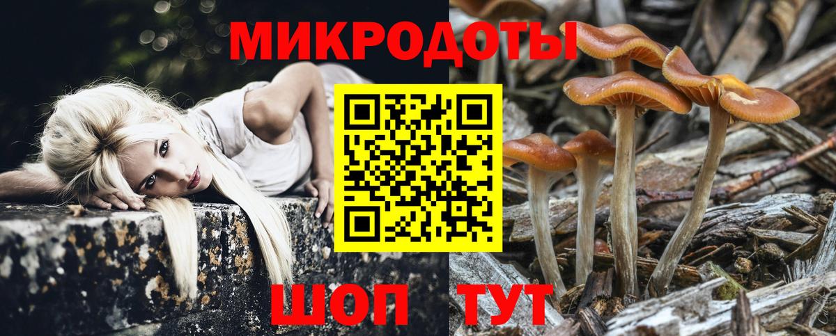 Псилоцибиновые грибы MAGIC MUSHROOMS  Вход с VPN  Псилоцибиновые грибы GOLDEN TEACHER  Артём 