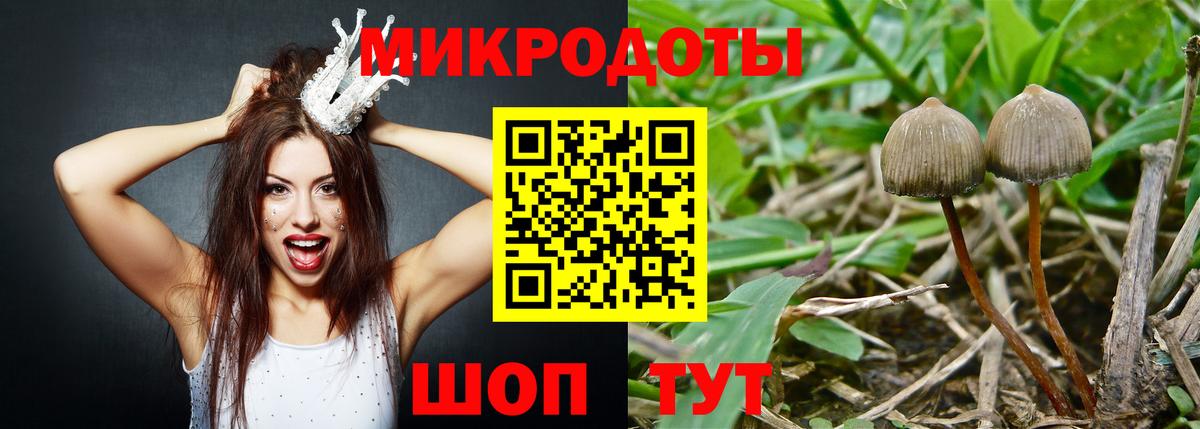 Галлюциногенные грибы мухоморы Артём